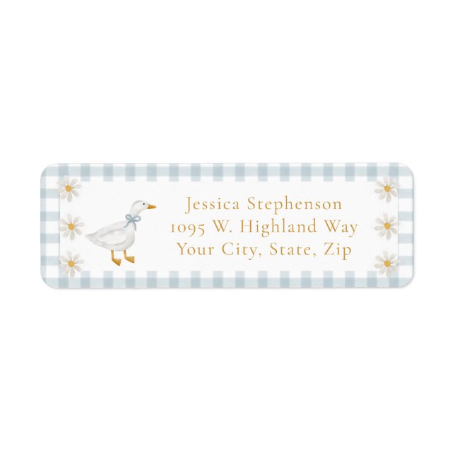 Silly Goose Blue Gingham Cottage Baby Shower  (Vorne)
