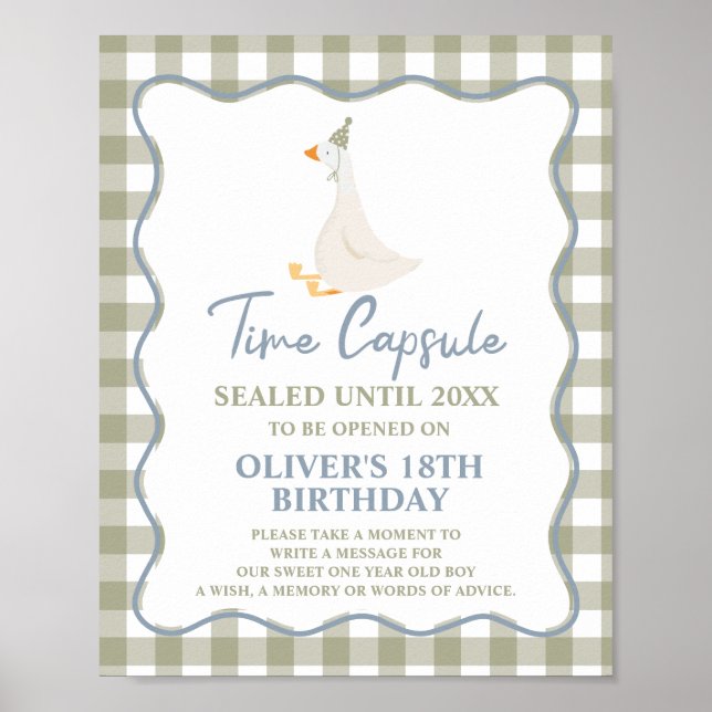Silly Goose Blue Green 1st Birthday Time Capsule Poster (Vorne)