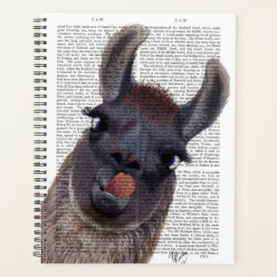 Silly Llama