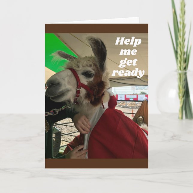 **SILLY LLAMA** DITES HEUREUSE CARTE D'ANNIVERSAIR (Devant)