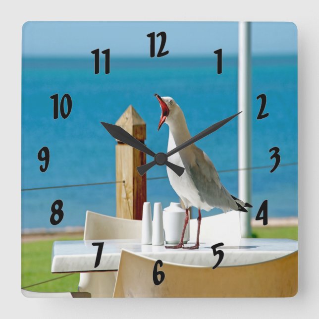 Silly Seagull Quadratische Wanduhr (Vorderseite)