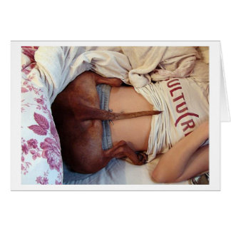 Silly Sleepy Pitbull !