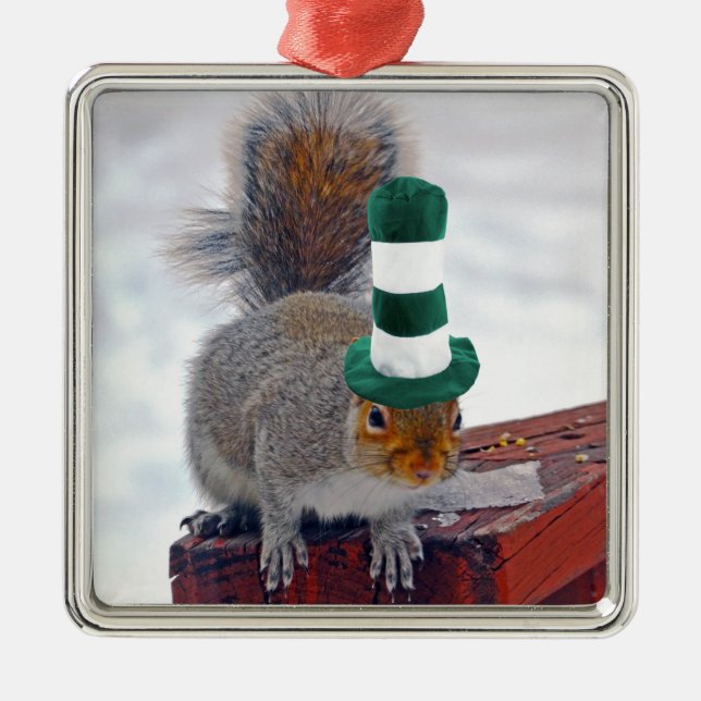 Silly Squirrel with Green Striped Hat Ornament (Vorne)