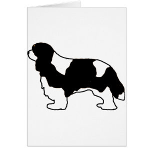 Silo noir et blanc Cavalier King Charles
