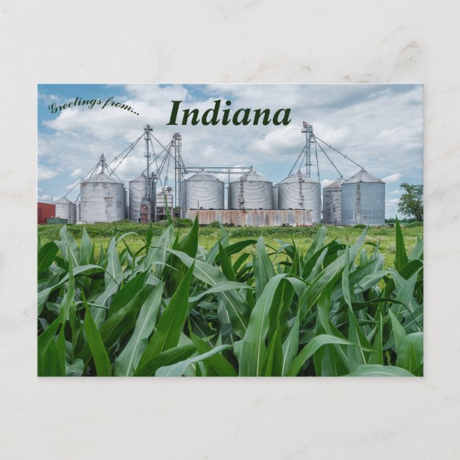 Silos und ein Cornfield in Indiana Postkarte (Vorderseite)
