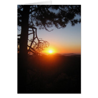 silouettes couché de soleil 2