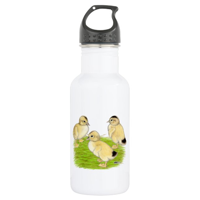 Silver Appleyard Ducklings Trinkflasche (Vorderseite)