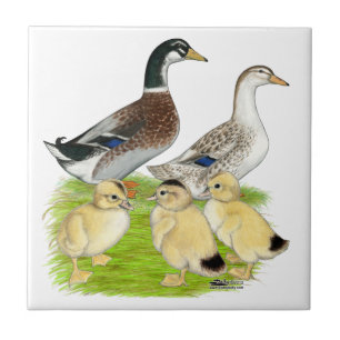 Silver Appleyard Familie Fliese