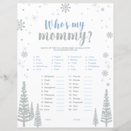 Silver & Blue Winter Wonderland Baby Showspiel