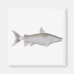 Silver Cobbler Magnet