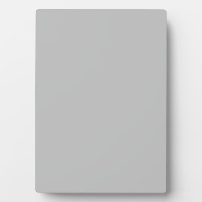 Silver Contemporary Cfarbed Fotoplatte (Vorderseite)