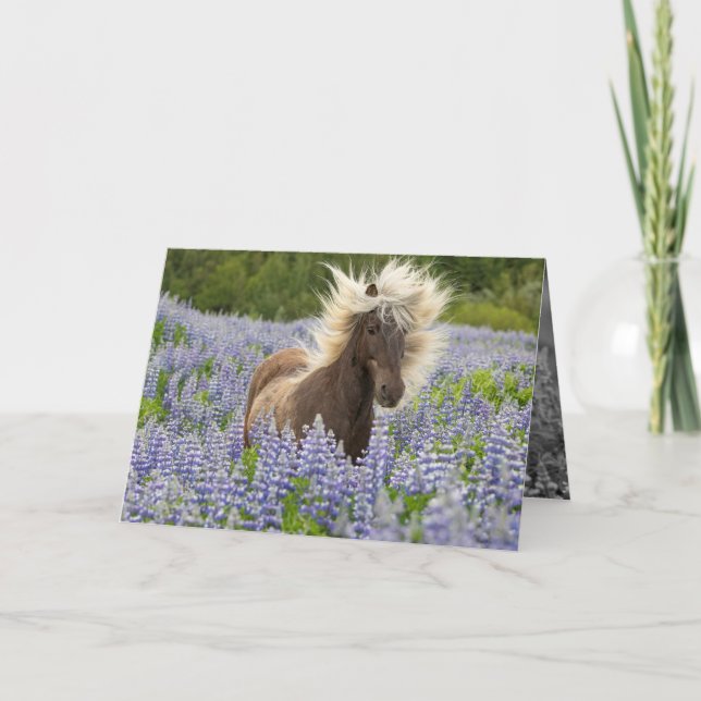 Silver Dapple in der Lupine Horse Grußkarte Karte (Vorderseite)