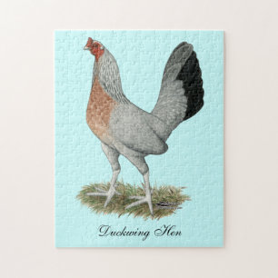 Silver Duckwing Game Hen