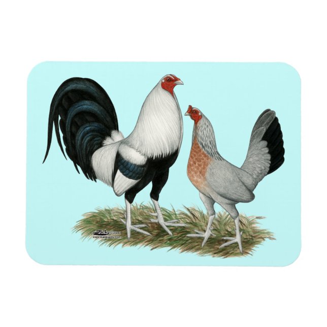 Silver Duckwing Gamefowl Magnet (Horizontal)