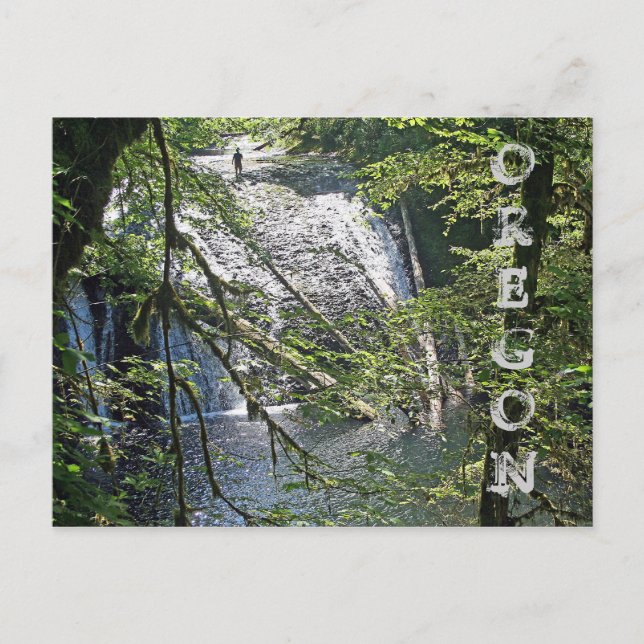 Silver Falls 4 Postkarte (Vorderseite)
