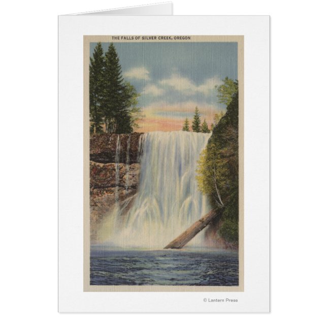 Silver Falls on Silver Creek, Oregon View (Vorne)