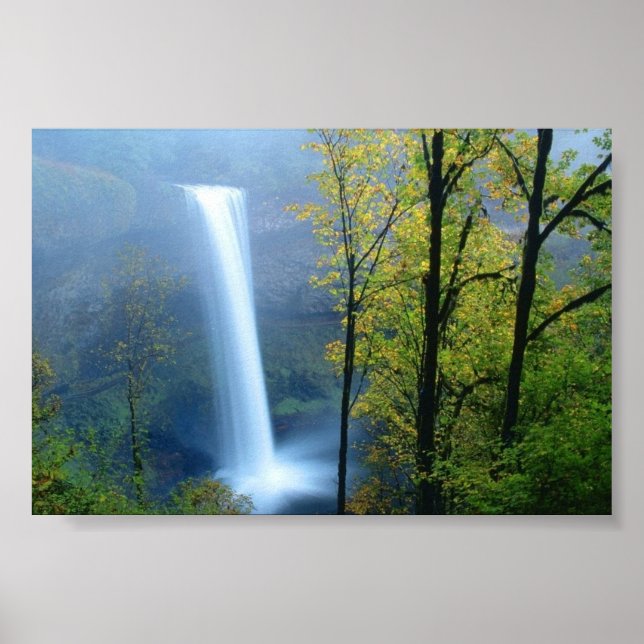 Silver Falls Staat Park, Oregon Poster (Vorne)