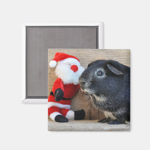 Silver Fox Guinea Pig und Weihnachtsmann Magnet