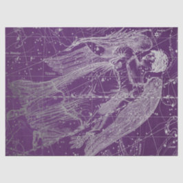 Silver Galaxy Star Map Series Design 11 Seidenpapier