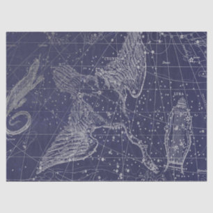 Silver Galaxy Star Map Series Design 5 Seidenpapier