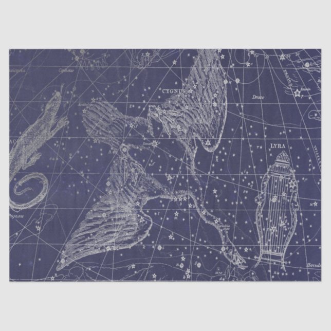 Silver Galaxy Star Map Series Design 5 Seidenpapier (Vorderseite)