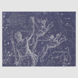 Silver Galaxy Star Map Series Design 8 Seidenpapier