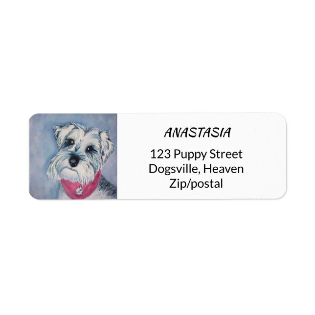 SILVER GRAY SCHNAUZER (Vorne)
