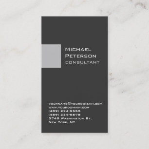 Silver Gray Strip Consultant Business Card Visitenkarte