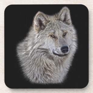 Silver Gray Wolf Wildlife Portrait Untersetzer