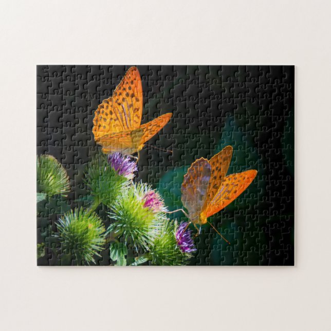 Silver grenzte Fritillary Butterfly an. (Horizontal)