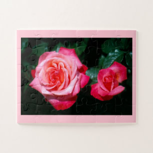 Silver Jubilee-Rose