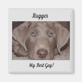 Silver Labrador "Mein bester Typ" Magnet
