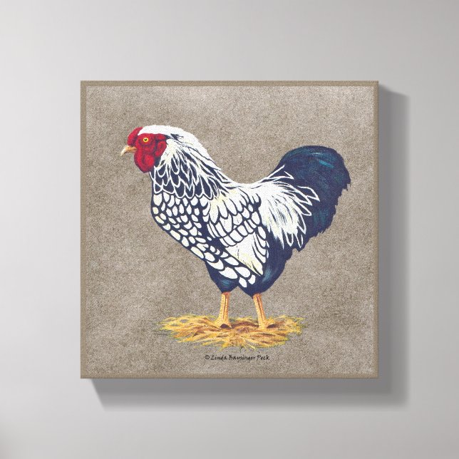 Silver Laced Wyandotte Rooster Leinwanddruck (Vorderseite)