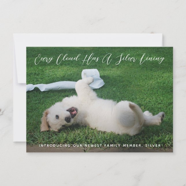 Silver Lining Foto Pet Adoption Ankündigung (Vorderseite)