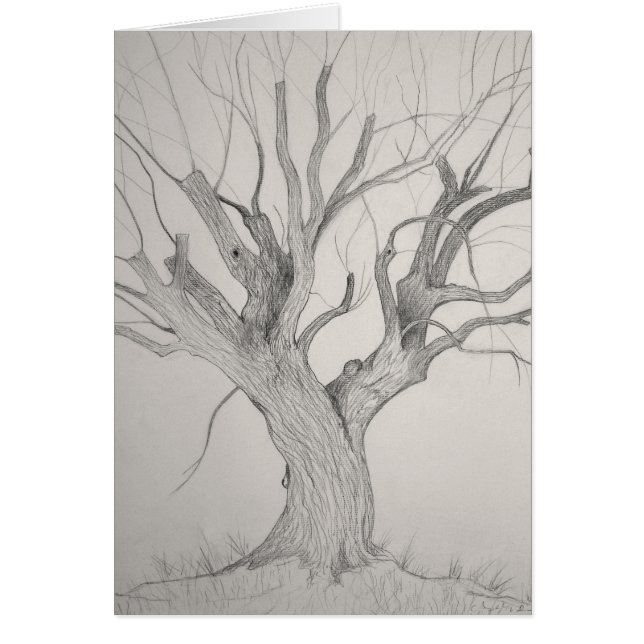 Silver Mapard (Vorne)