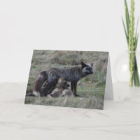 Silver Mother Fox Nursing Baby Kits Framework Art