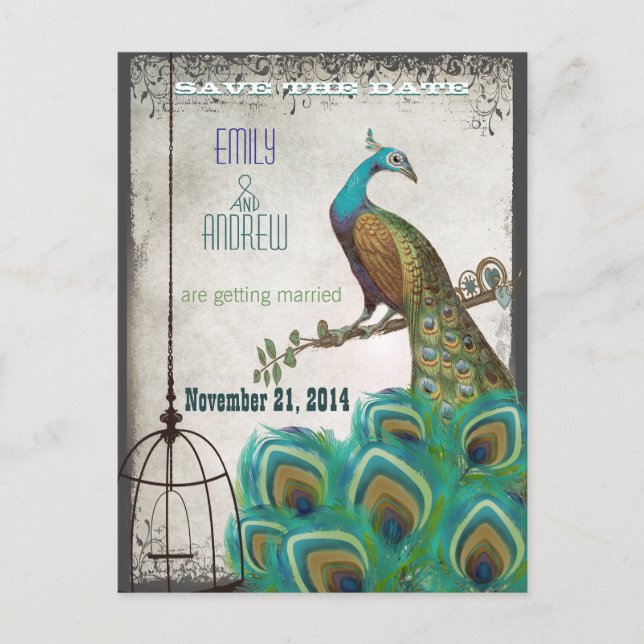 Silver Peacock Feathers Birdcage Save the Date Ankündigungspostkarte (Vorderseite)
