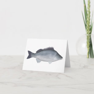 Silver Perch