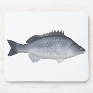 Silver Perch Mousepad
