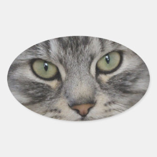 Silver Persian Cat Face Oval Stickers
