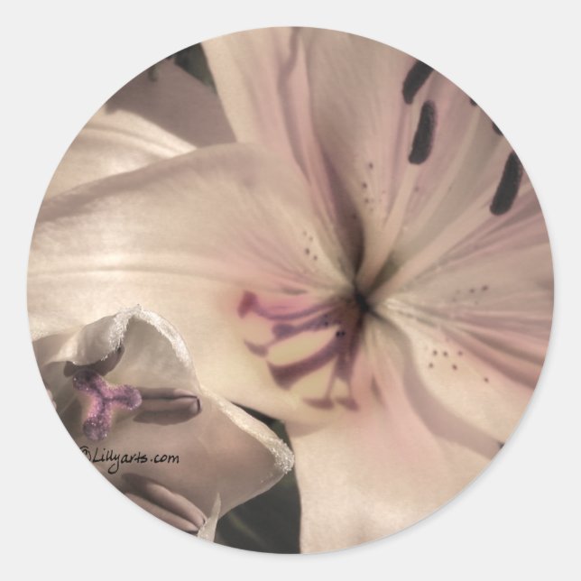 Silver Pink Lilly Wedding Einladung Siegel Runder Aufkleber (Vorderseite)