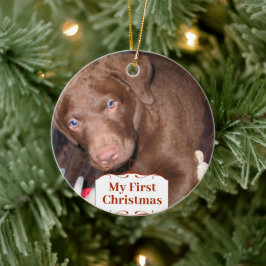Silver Puppy mein erstes Weihnachts-Foto Ornamente