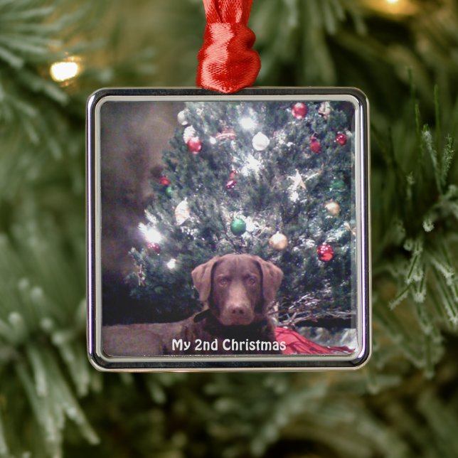 Silver Puppy Mon 2e ornement photo de Noël (Arbre)