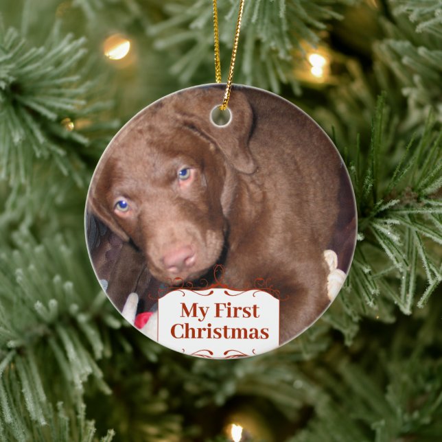 Silver Puppy Mon premier ornement photo de Noël (Arbre)