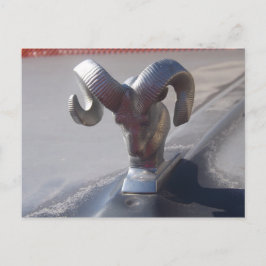 Silver Ram Postkarte
