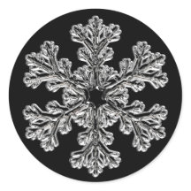 Silver Snowflake Holiday Gruß