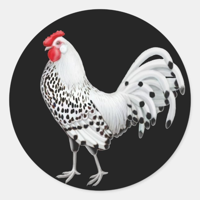 Silver Spangled Hamburg Rooster Sticker (Vorderseite)