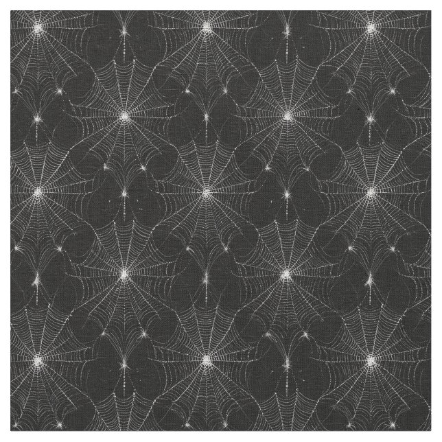 Silver Spiderweb Lace auf Black Stoff (Nahaufnahme)