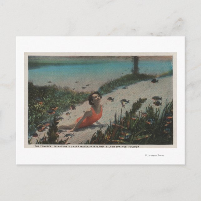 Silver Springs, FL - Frau, die Underwater schwimmt Postkarte (Vorderseite)