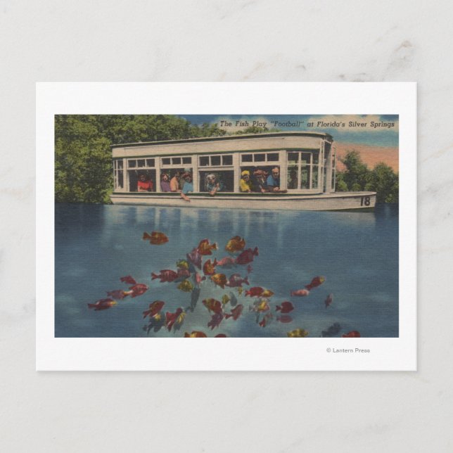 Silver Springs, Florida - Ansicht von Riverboat & Postkarte (Vorderseite)